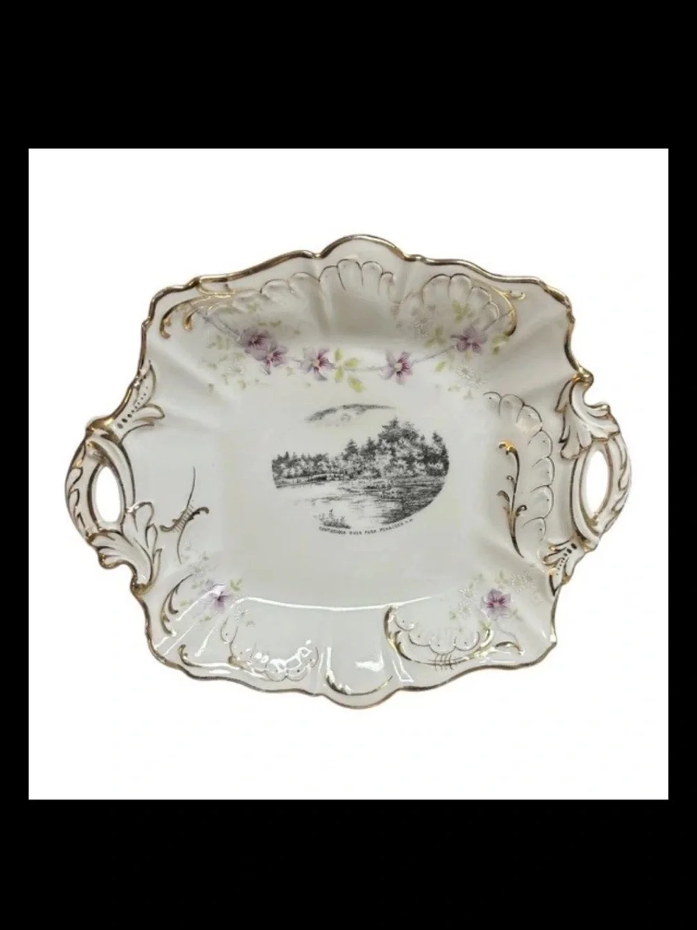 Antique W.W. Allen Penacook NH Serving Dishes Set Of 2 Transferware Germany